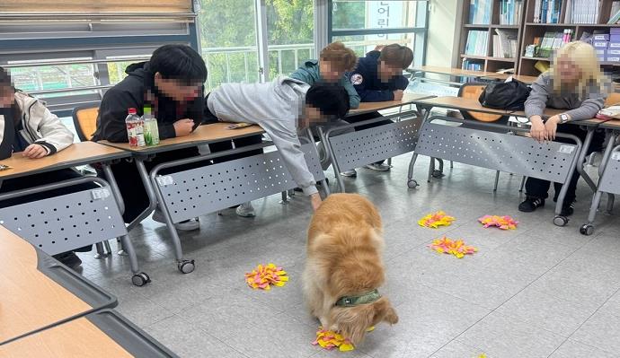 그림입니다.  원본 그림의 이름: 20251224_171045.jpg  원본 그림의 크기: 가로 690pixel, 세로 399pixel